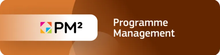 PM² Programme Management Methodology Teaser