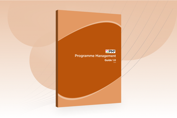 A visual representation of the PM² Programme Management Guide cover