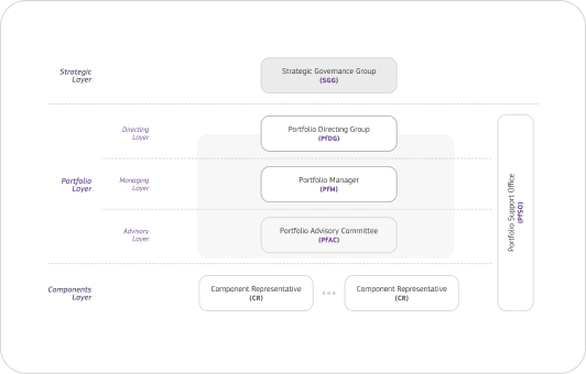 PM²-PfM Governance Model