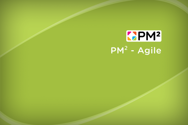 PM² Agile Guide - Picture