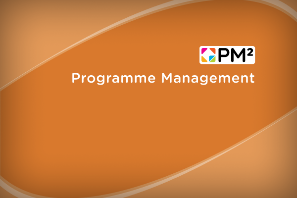 PM² Programme Management Guide - Picture