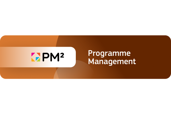 PM² Programme Management Methodology Teaser 
