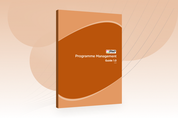 A visual representation of the PM² Programme Management Guide cover